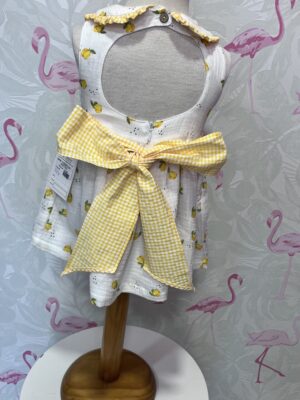 VESTIDO LIMONES