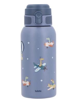 Botella de Acero Térmica Planes 500ml