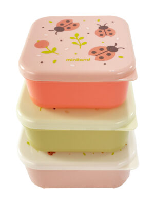 snackbox-3 butterfly