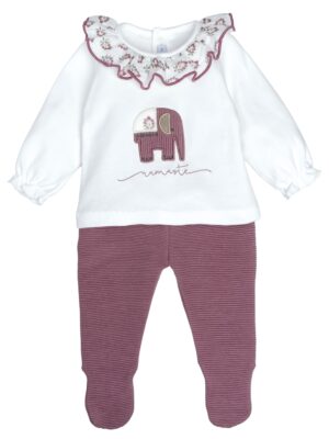 CONJUNTO POLAINA MEIRA