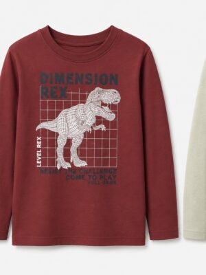 CAMISETA ALGODON DINO